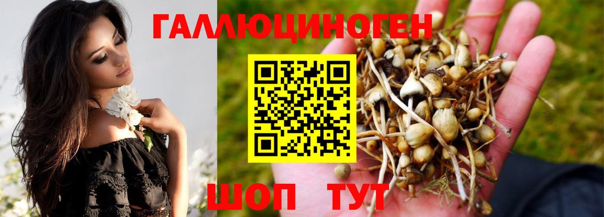Галлюциногенные грибы MAGIC MUSHROOMS Десногорск